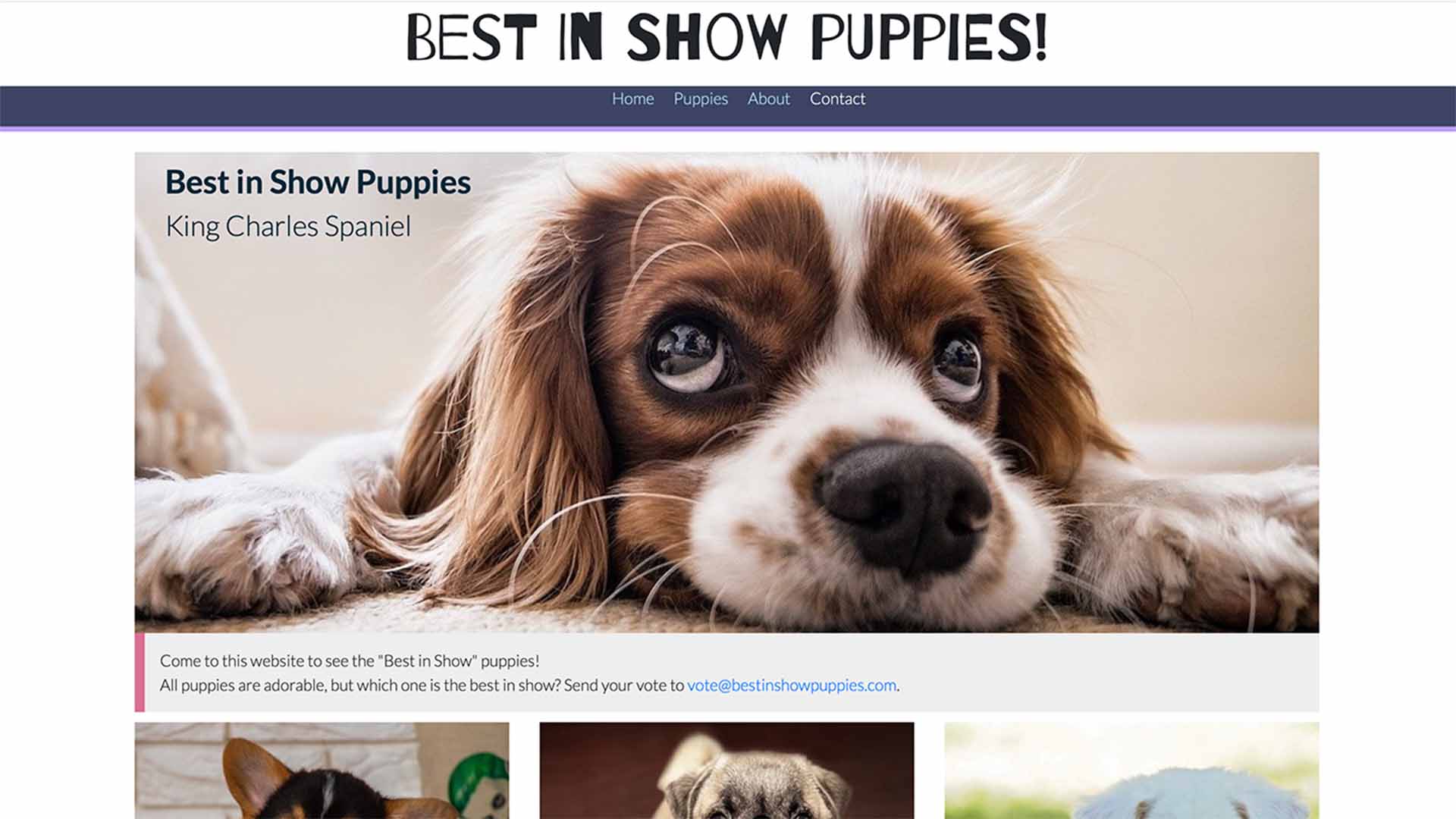 dog site picture