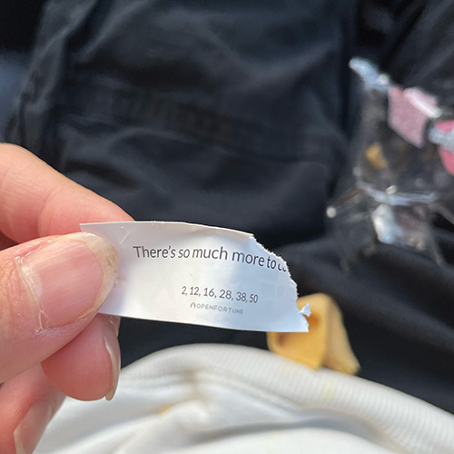 fortune cookie picture